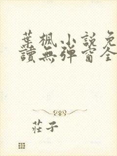 叶枫小说免费阅读无弹窗全文