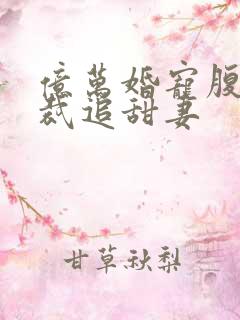 亿万婚宠腹黑总裁追甜妻