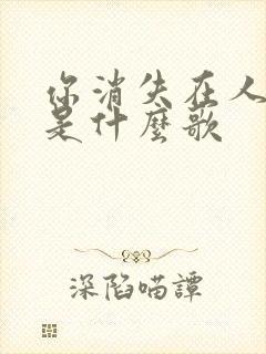 你消失在人海中是什么歌
