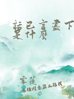 话已言尽下一句是什么
