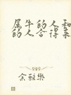 属牛的人和属鼠的人合得来吗