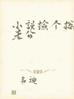 小说捡个总裁当老公