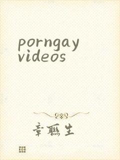 porngayvideos
