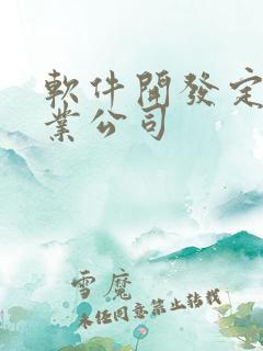 软件开发定制专业公司