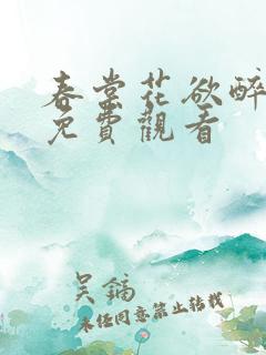 春棠花欲醉短剧免费观看