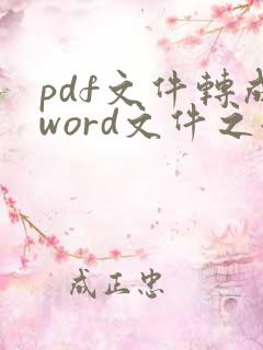 pdf文件转成word文件之后格式如何调整