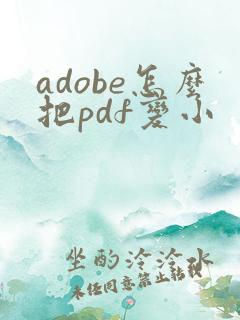 adobe怎么把pdf变小