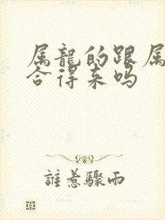 属龙的跟属鼠的合得来吗