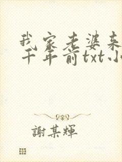 我家老婆来自一千年前txt小说下载