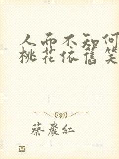 人面不知何处去桃花依旧笑春风的意思