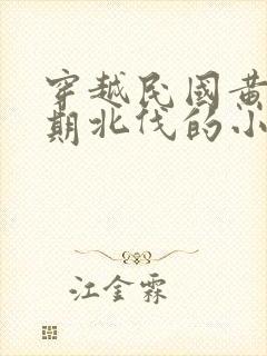 穿越民国黄埔一期北伐的小说