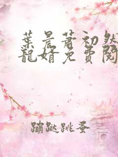叶晨萧初然至尊龙婿免费阅读