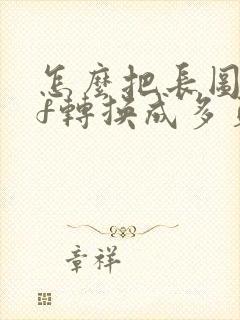 怎么把长图pdf转换成多页