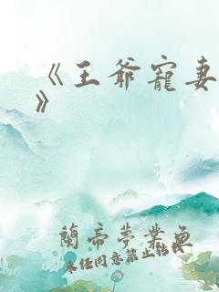 《王爷宠妻无度》
