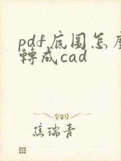 pdf底图怎么转成cad