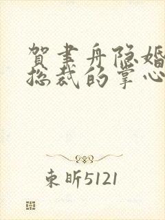贺聿舟隐婚曝光总裁的掌心宠逃婚了最新章