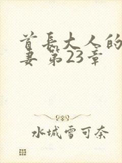 首长大人的甜宠妻 第23章