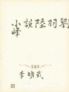 小说陆羽刘云峰峰