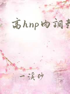 高hnp肉调教