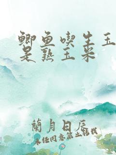 鲫鱼吃生玉米还是熟玉米