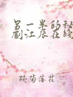 另一半的秘密短剧江辰在线观看