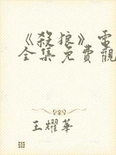 《杀狼》电视剧全集免费观看高清