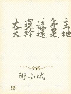 大运流年主要看天干还是地支