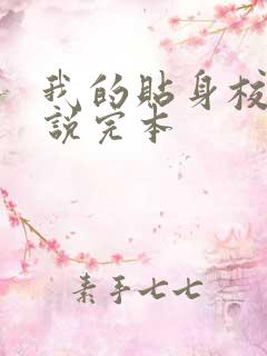 我的贴身校花小说完本