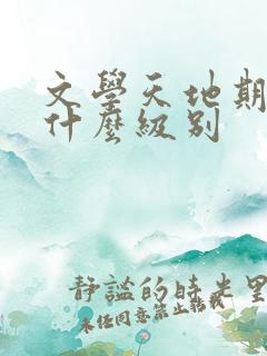 文学天地期刊是什么级别