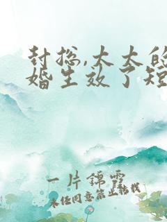 封总,太太的离婚生效了短剧在线