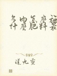 多肉怎么施肥施什么肥料最好