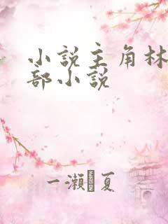 小说主角林凡全部小说