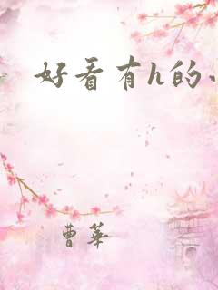 好看有h的小说