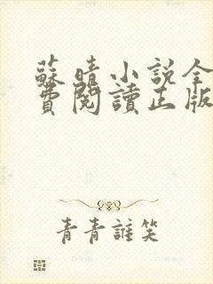 苏晴小说全文免费阅读正版无弹窗