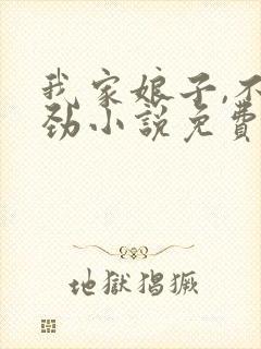 我家娘子,不对劲小说免费阅读