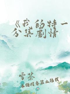 《我的特一营》分集剧情