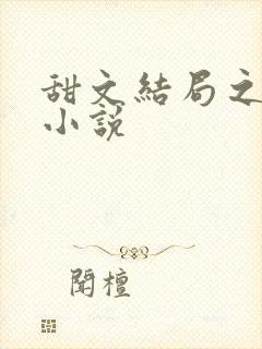 甜文结局之后的小说