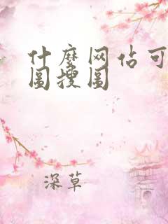 什么网站可以以图搜图