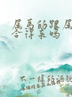 属马的跟属龙的合得来吗