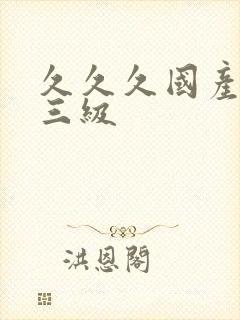 久久久国产精品三级
