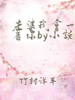 老婆我会一直缠着你by小说免费阅读