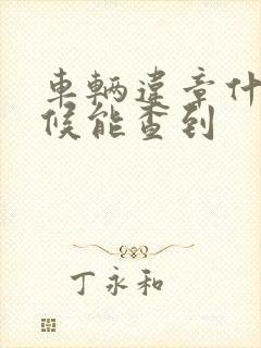 车辆违章什么时候能查到