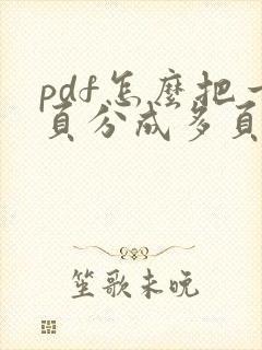 pdf怎么把一页分成多页打印