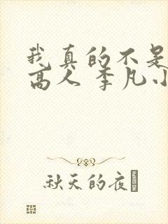 我真的不是盖世高人 李凡小说