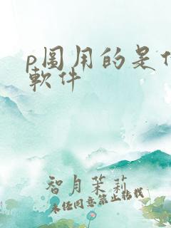 p图用的是什么软件