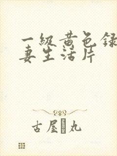 一级黄色录像夫妻生活片