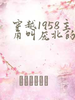 穿越1958主角叫庞北的小说