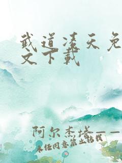 武道凌天免费全文下载