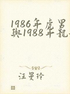 1986年虎男与1988年龙女相配吗