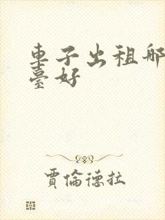 车子出租哪个平台好